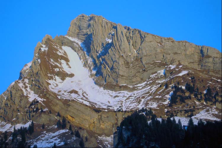 WILDHUSER SCHAFBERG