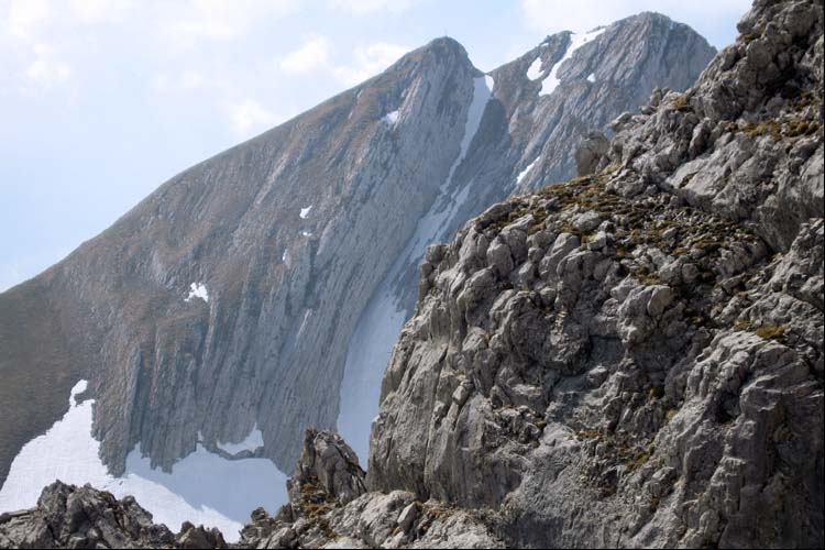 WILDHUSER SCHAFBERG