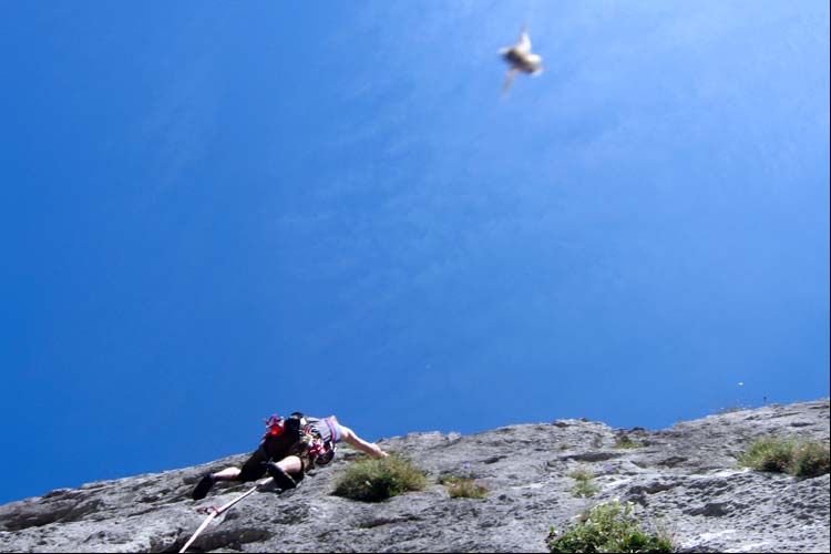 HUNDSTEIN 2040 m