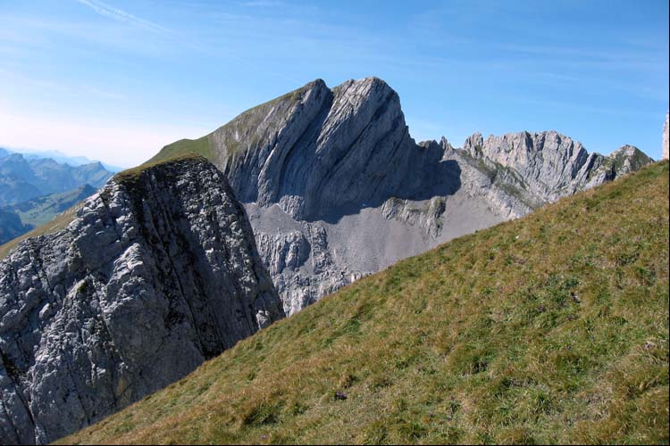 WILDHUSER SCHAFBERG