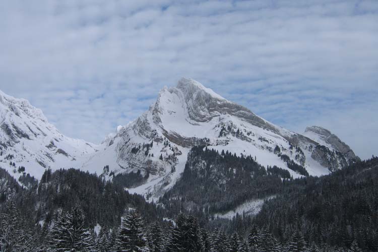 WILDHUSER SCHAFBERG