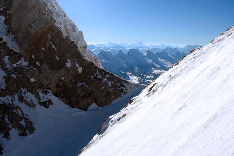 WILDHUSER SCHAFBERG