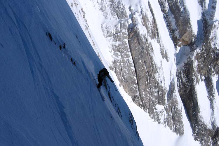 WILDHUSER SCHAFBERG