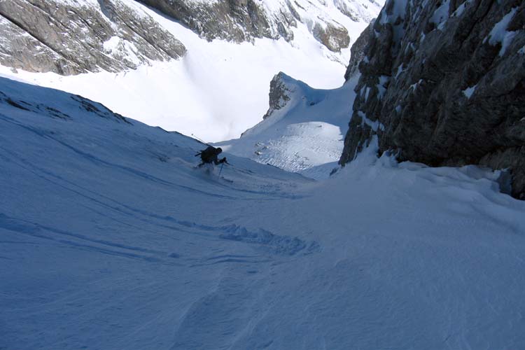 WILDHUSER SCHAFBERG