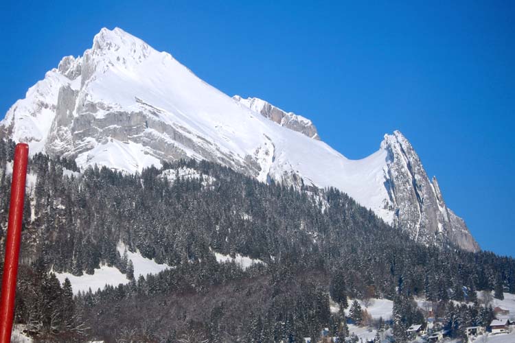 WILDHUSER SCHAFBERG