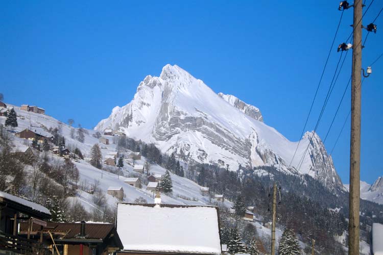 WILDHUSER SCHAFBERG