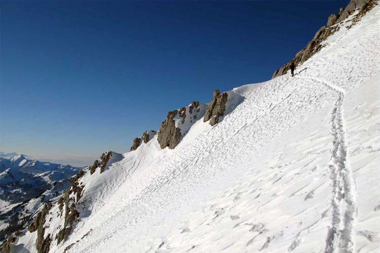 WILDHUSER SCHAFBERG