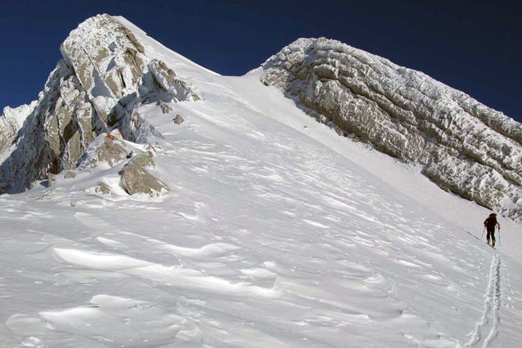 WILDHUSER SCHAFBERG