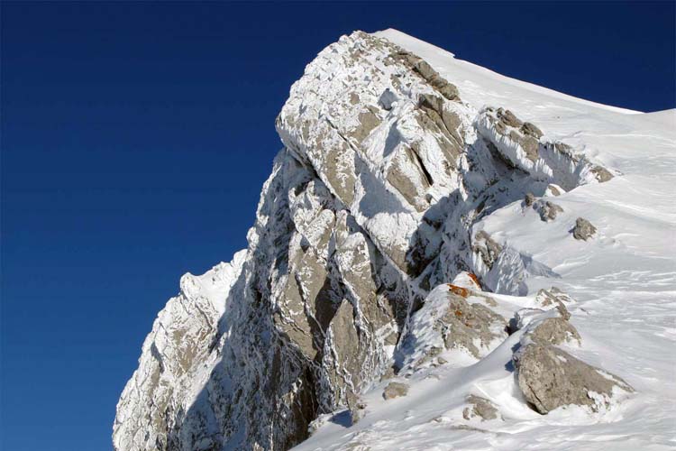 WILDHUSER SCHAFBERG