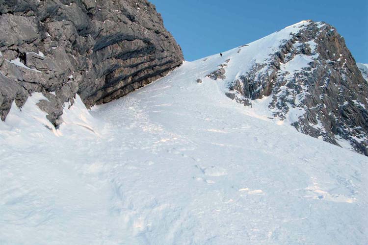 WILDHUSER SCHAFBERG