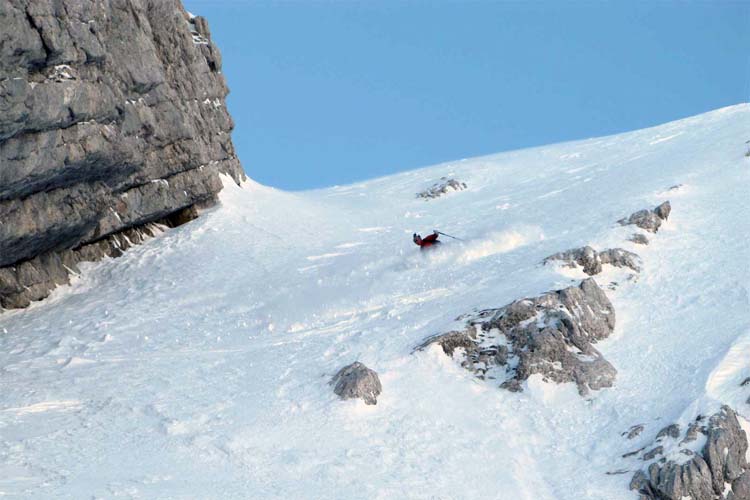 WILDHUSER SCHAFBERG