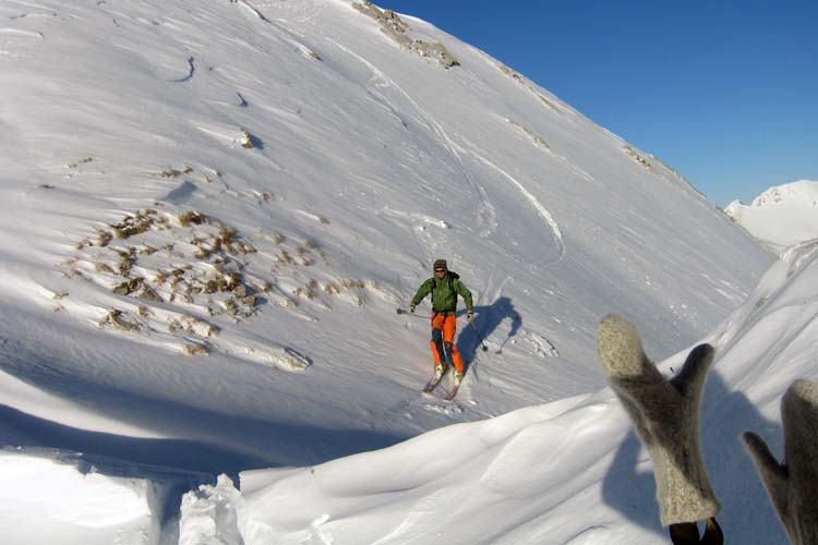 WILDHUSER SCHAFBERG