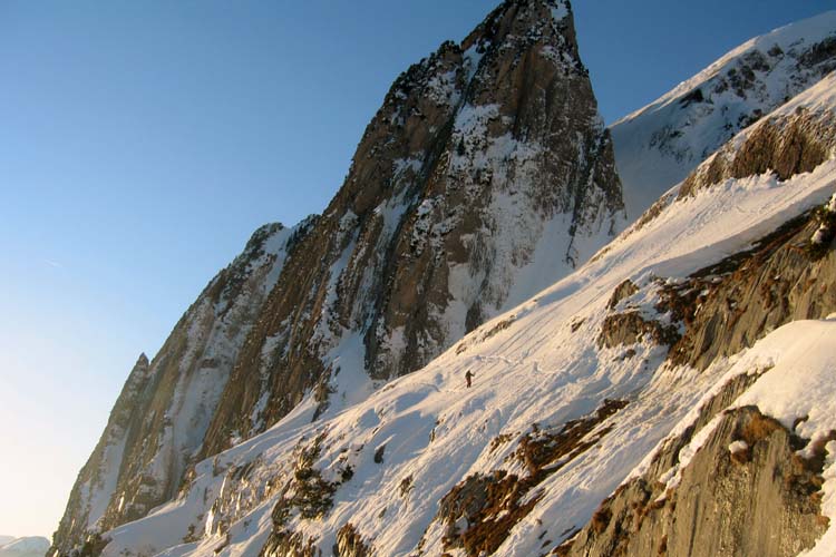 WILDHUSER SCHAFBERG