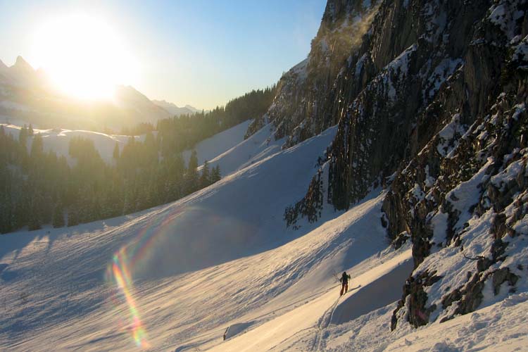 WILDHUSER SCHAFBERG