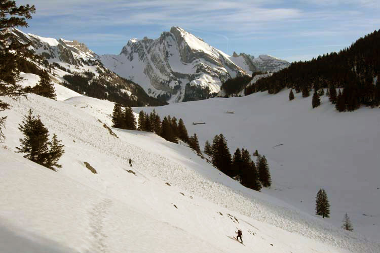 WILDHUSER SCHAFBERG