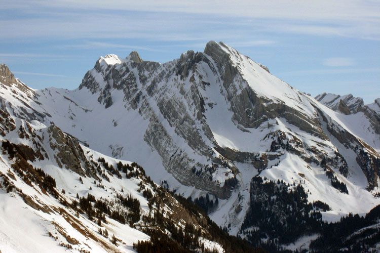 WILDHUSER SCHAFBERG