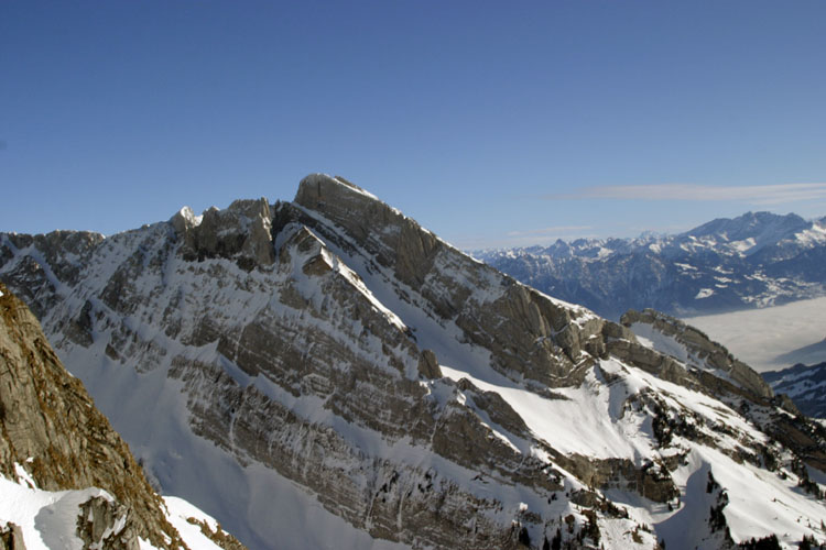 WILDHUSER SCHAFBERG