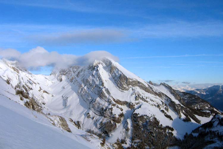 WILDHUSER SCHAFBERG