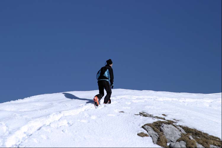 WILDHUSER SCHAFBERG SG