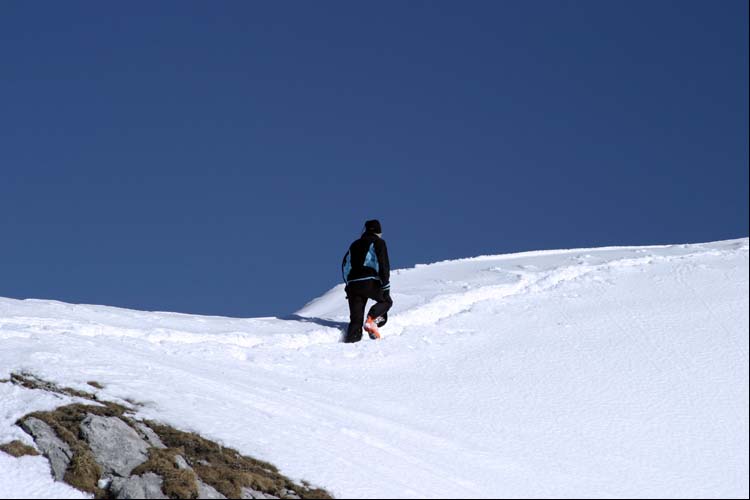 WILDHUSER SCHAFBERG SG