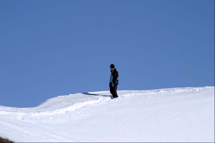 WILDHUSER SCHAFBERG SG