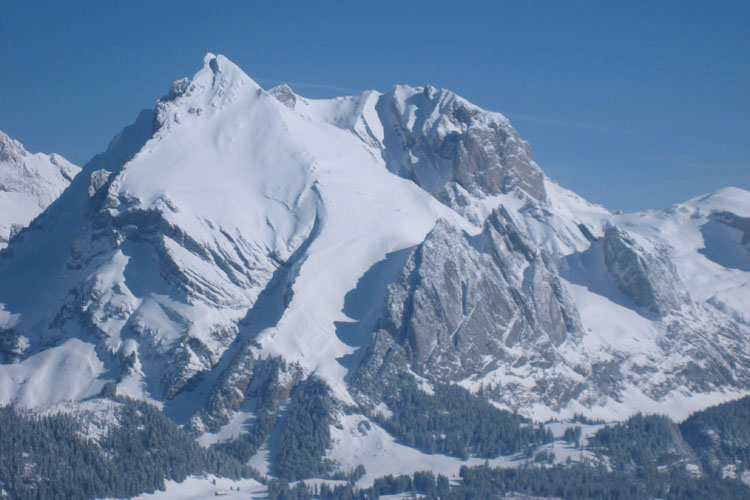 WILDHUSER SCHAFBERG