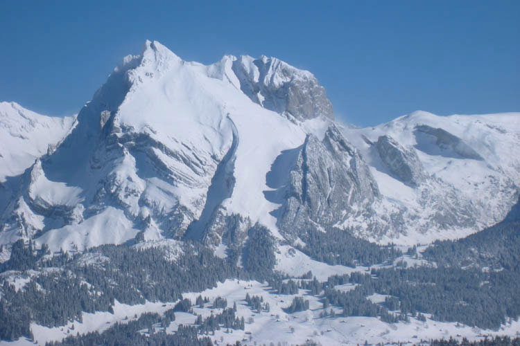 WILDHUSER SCHAFBERG