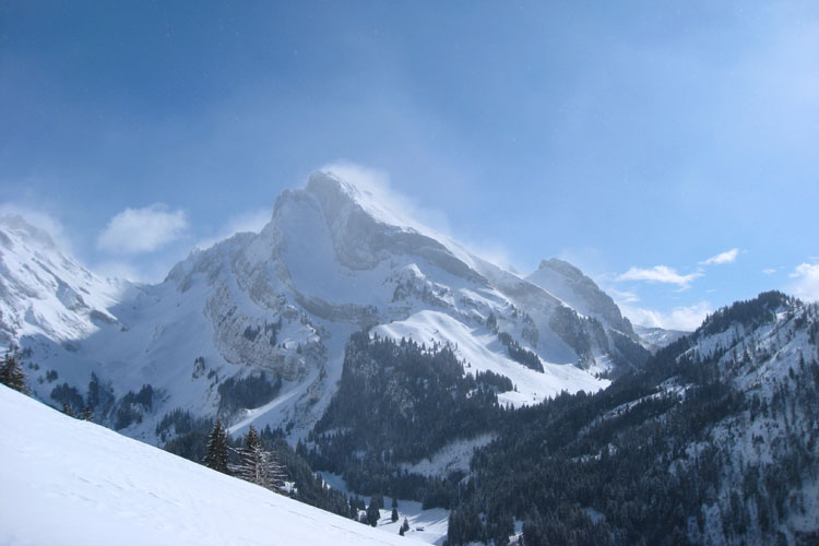 WILDHUSER SCHAFBERG