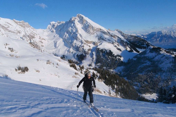 WILDHUSER SCHAFBERG