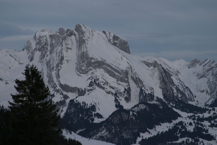 WILDHUSER SCHAFBERG