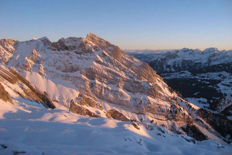 WILDHUSER SCHAFBERG