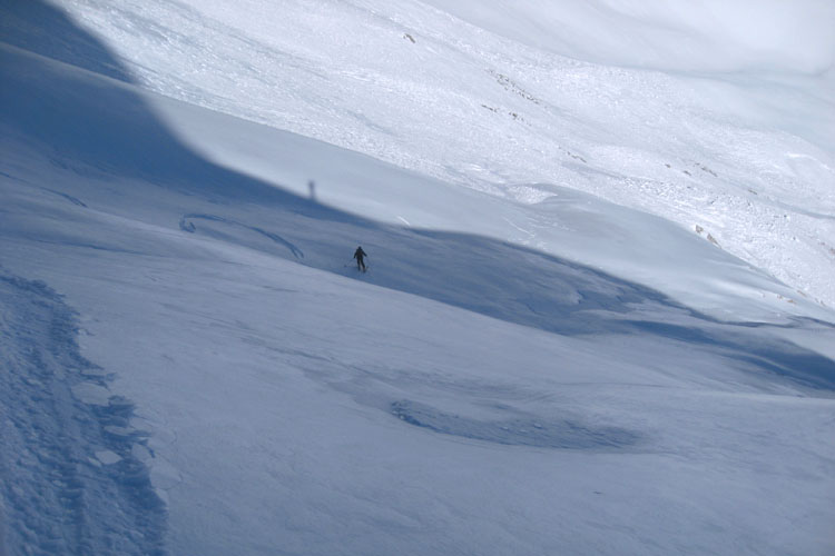 WILDHUSER SCHAFBODEN