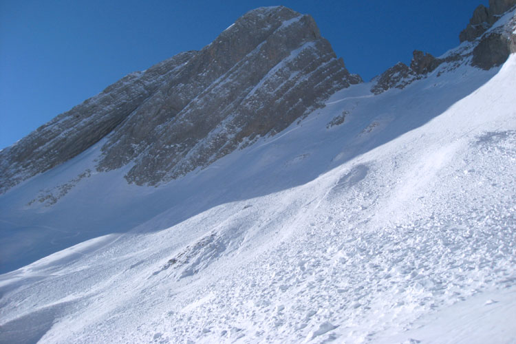 WILDHUSER SCHAFBODEN