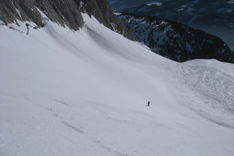 WILDHUSER SCHAFBODEN