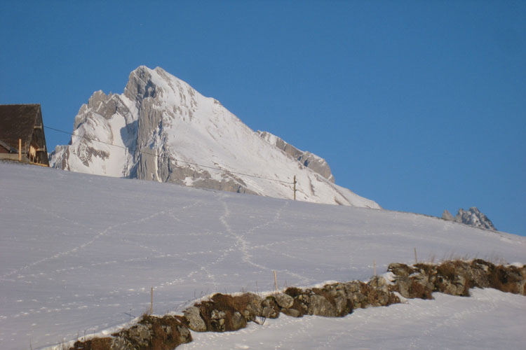 WILDHUSER SCHAFBERG