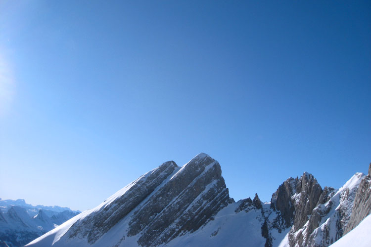 WILDHUSER SCHAFBERG