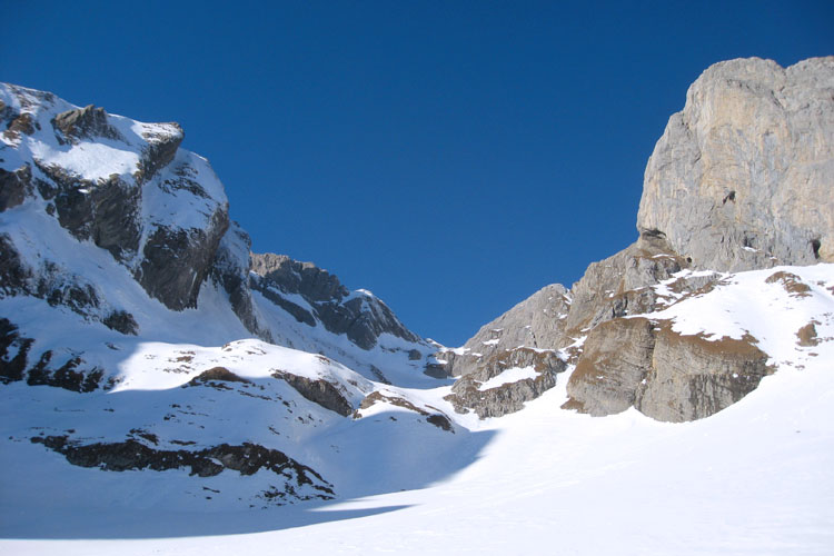 WILDHUSER SCHAFBODEN