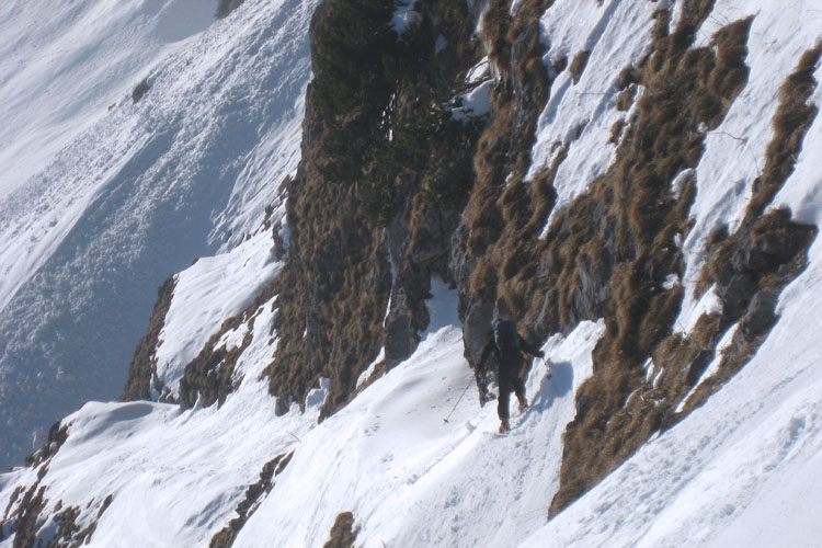 WILDHUSER SCHAFBODEN