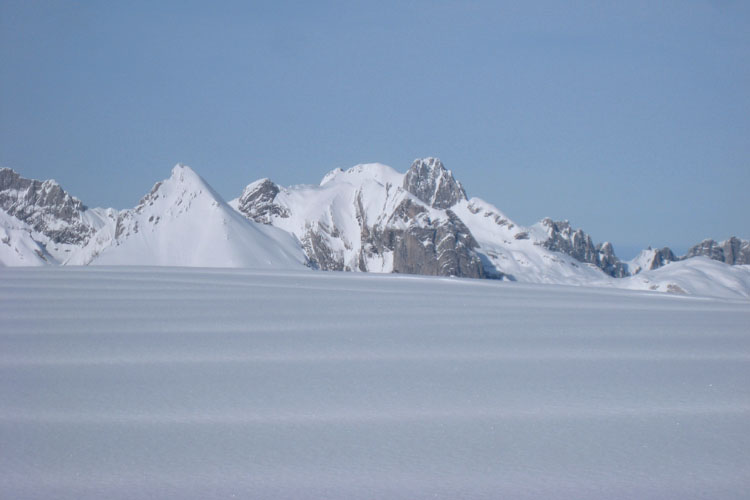 WILDHUSER SCHAFBERG