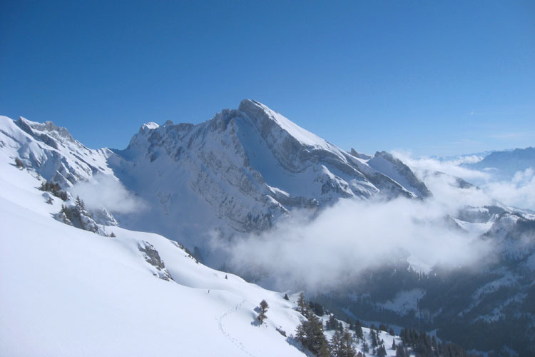 WILDHUSER SCHAFBERG