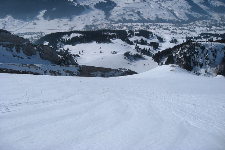 WILDHUSER SCHAFBERG