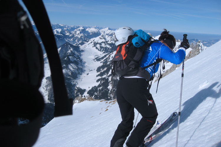 WILDHUSER SCHAFBERG