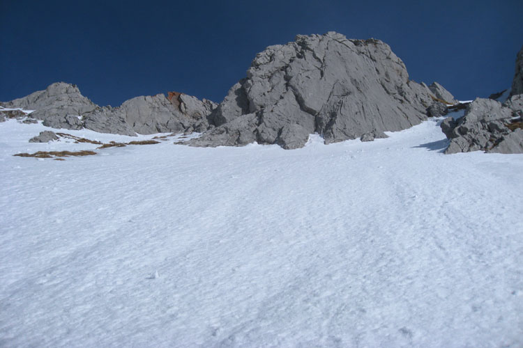 WILDHUSER SCHAFBERG