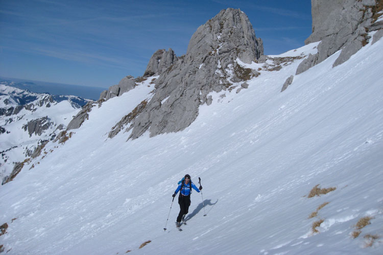 WILDHUSER SCHAFBERG