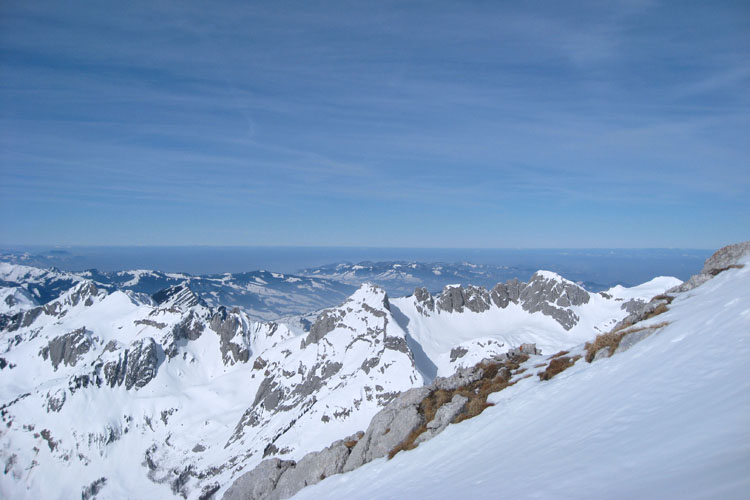 WILDHUSER SCHAFBERG