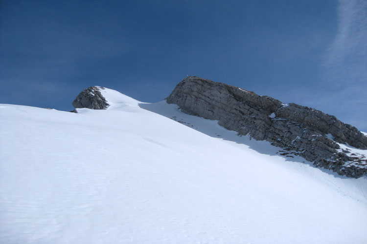 WILDHUSER SCHAFBERG