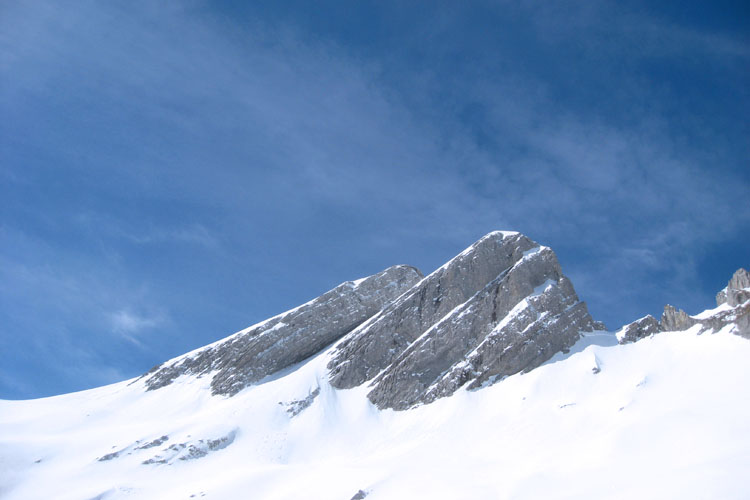 WILDHUSER SCHAFBERG