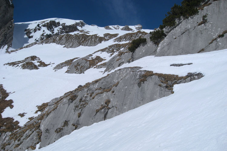 WILDHUSER SCHAFBODEN