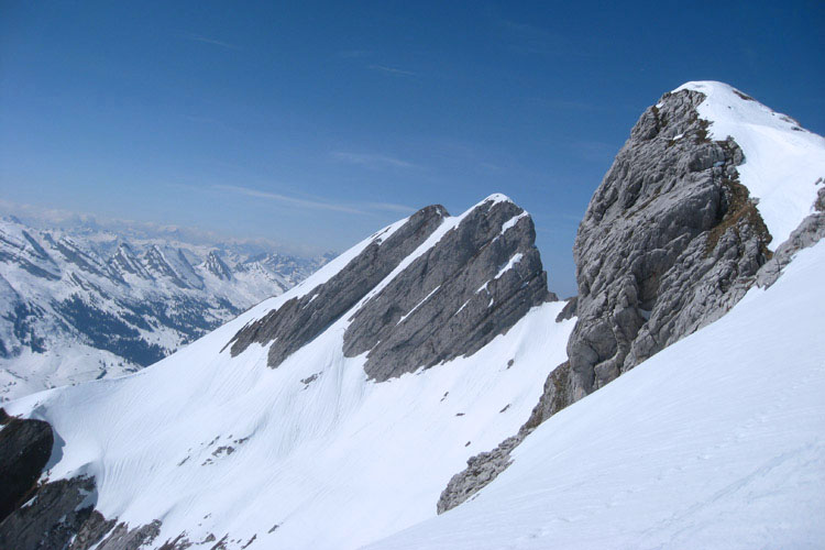 WILDHUSER SCHAFBERG