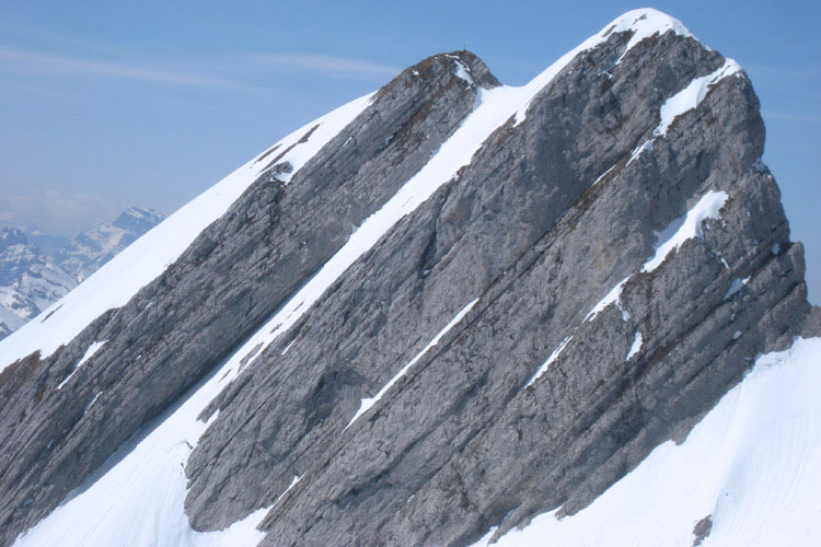 WILDHUSER SCHAFBERG